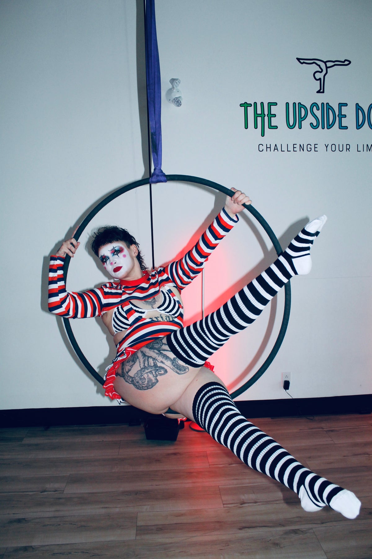 THE AERIALIST