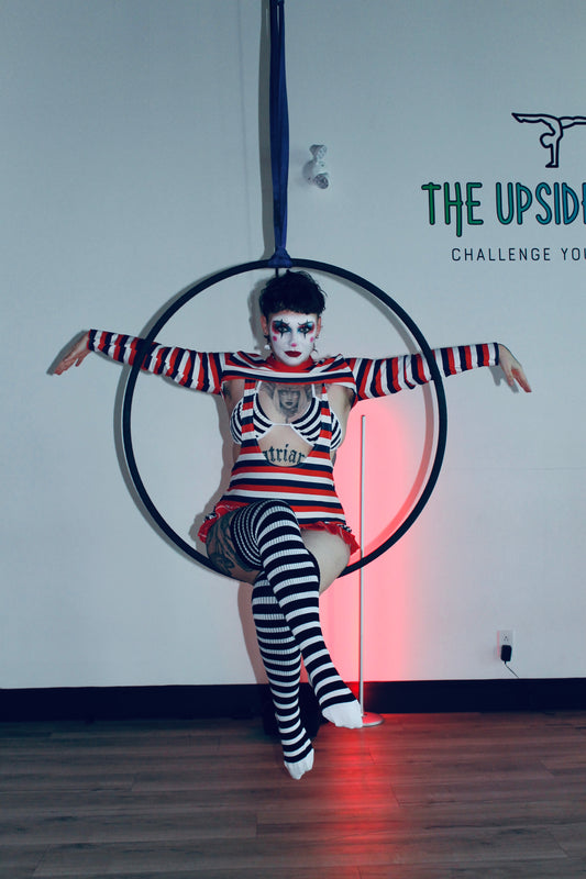 THE AERIALIST