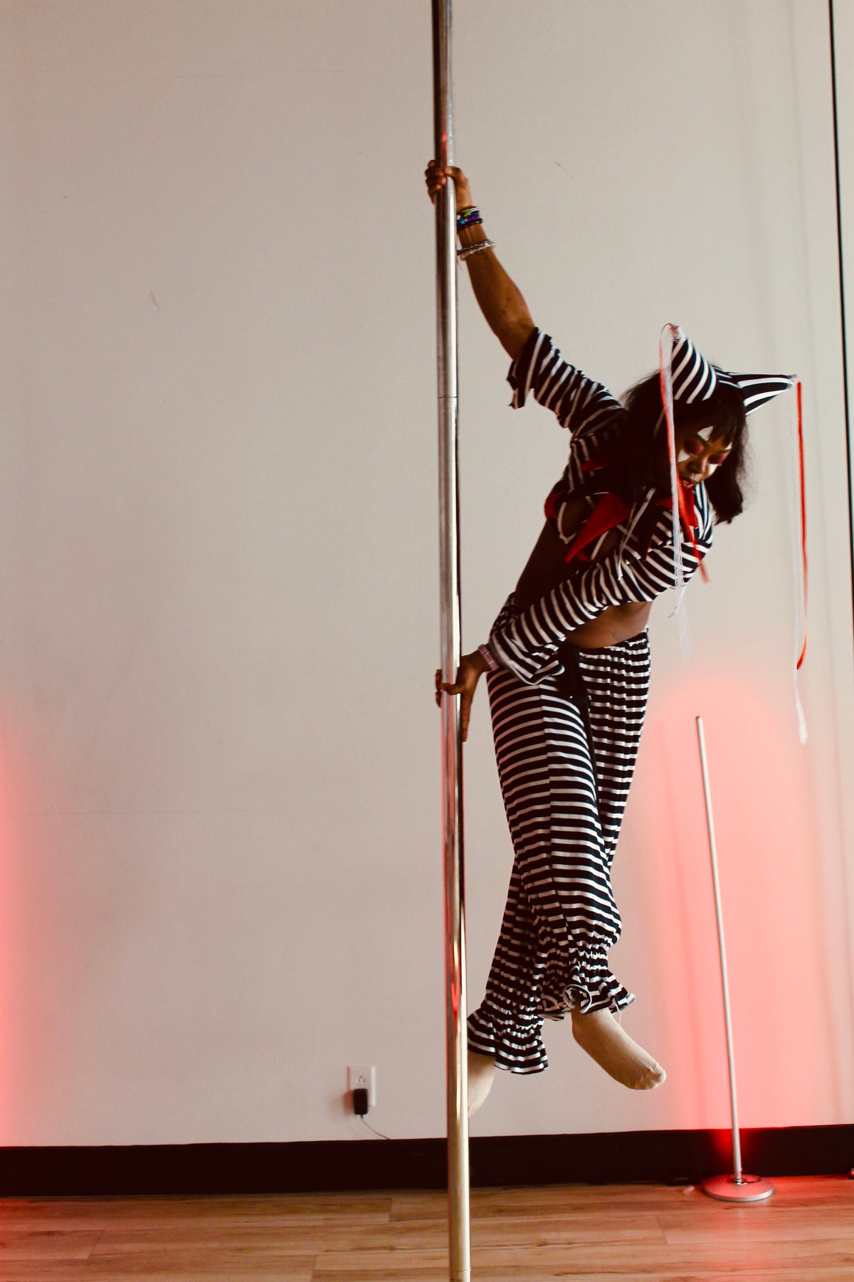 THE JESTER